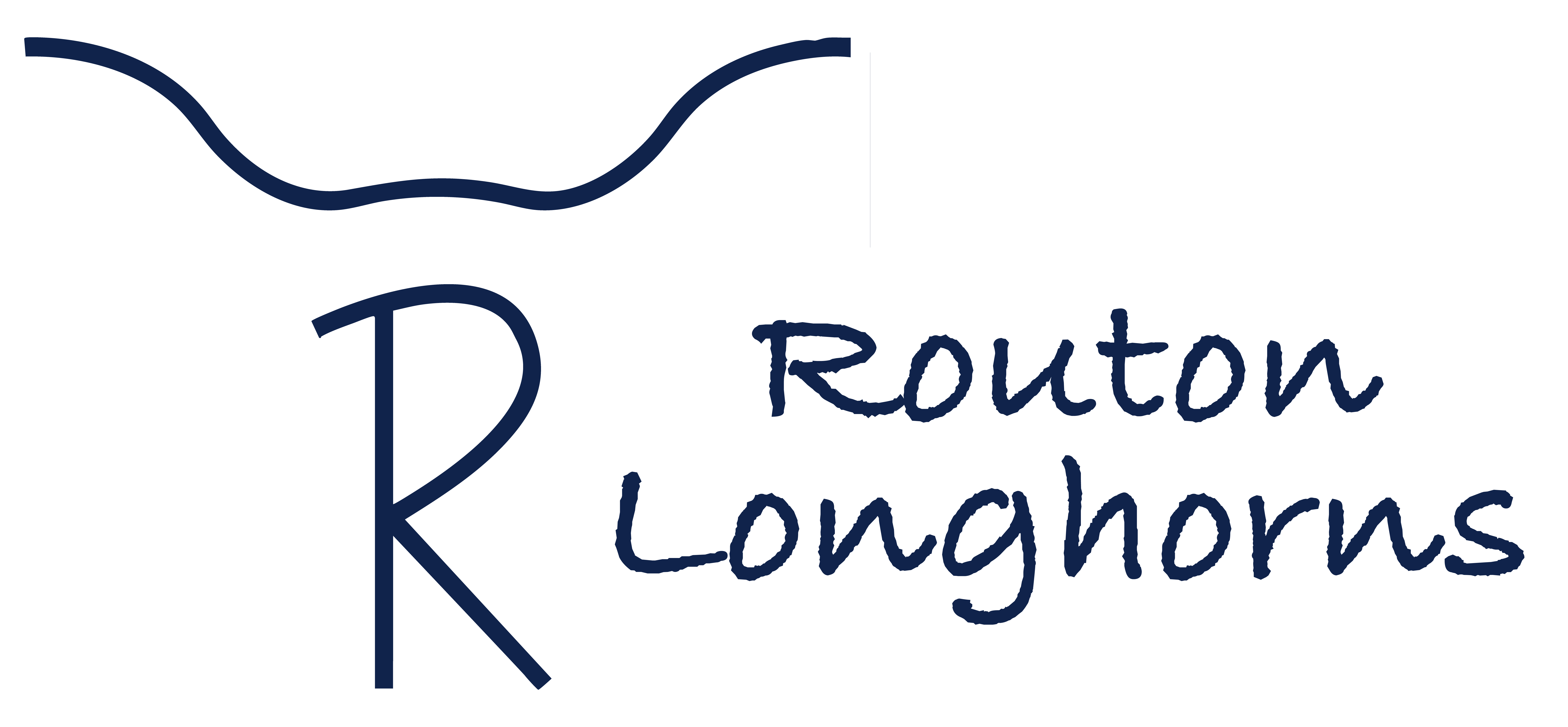 Routon Longhorns